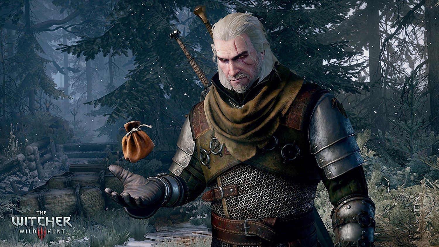 Witcher 3: Wild Hunt